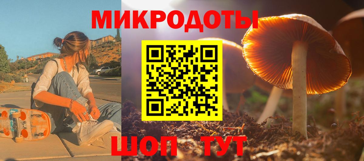 Сибай  Псилоцибиновые грибы Psilocybine cubensis  Вход с VPN  Псилоцибиновые грибы Psilocybe 